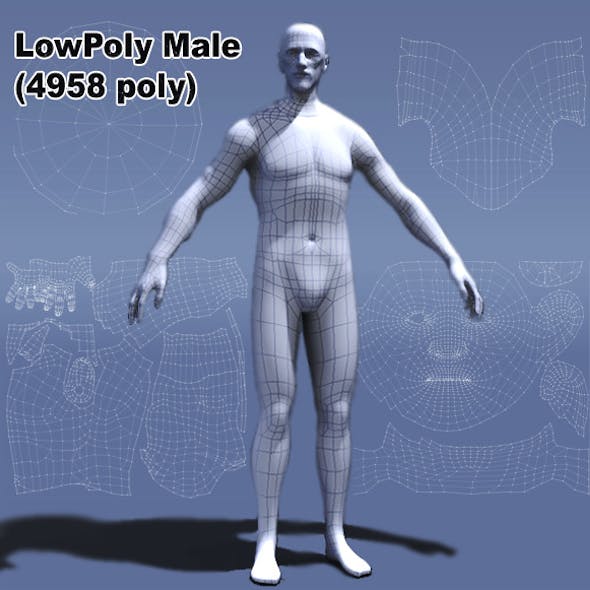 Low Poly Male Human