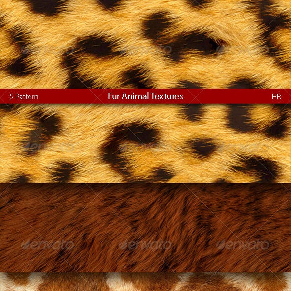 Fur Animal Texture