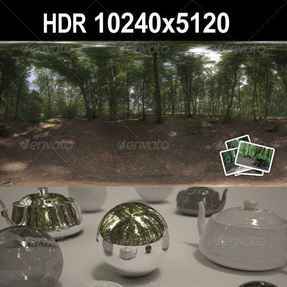 HDR 116 Forest