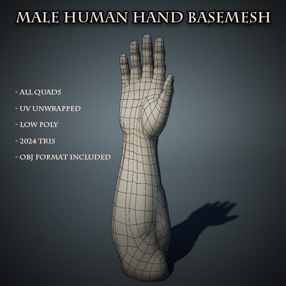 Human Male Hand Base Mesh