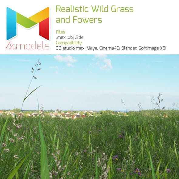 Realistic wild grass and flowers