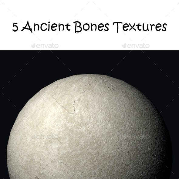 5 Ancient Bones Tileable Textures