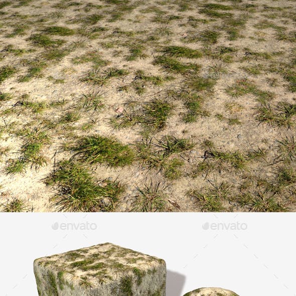 Desert Grass Seamless Texture