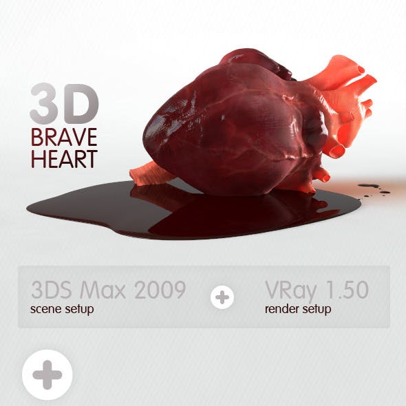 Brave Heart (3D model of human heart)