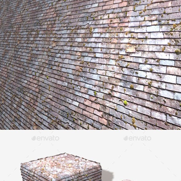 Old Mossy Roof Tiles Seamless Texture