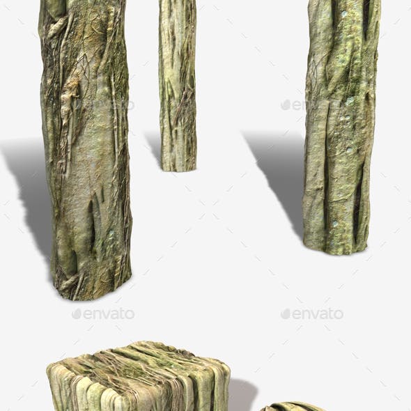 Swamp Tree Roots Seamless Texture