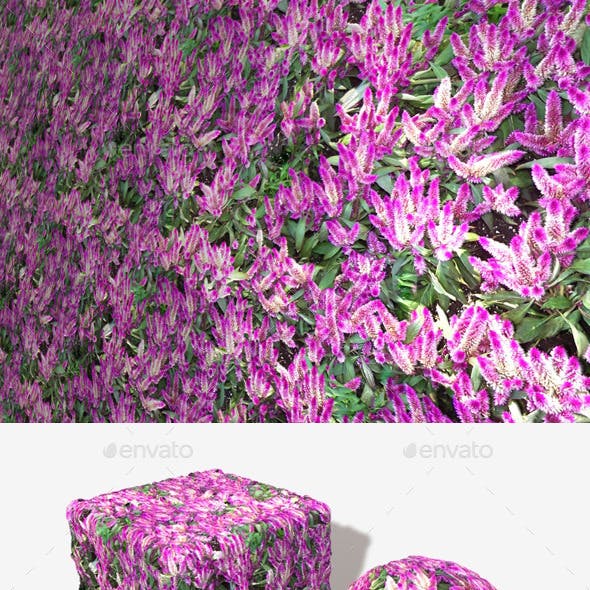 Tropical Pink Flowers Seamless Texture