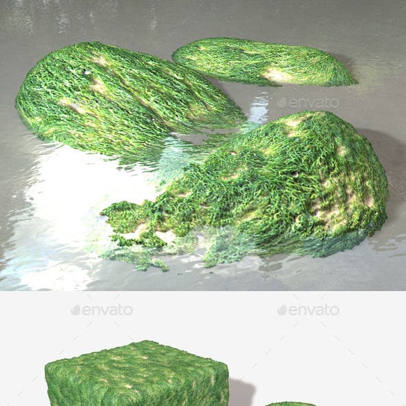 Seaweed Fine Seamless Texture