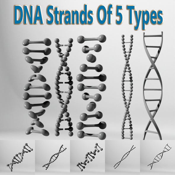 DNA Strands Of 5 Types