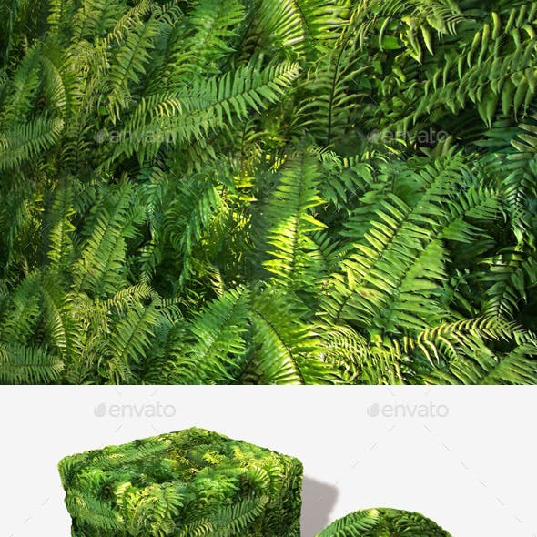 Jungle Fern Seamless Texture