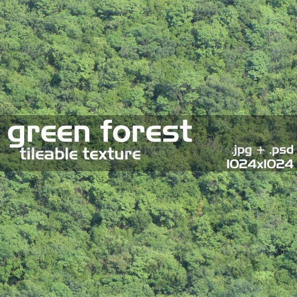Green Forest Texture