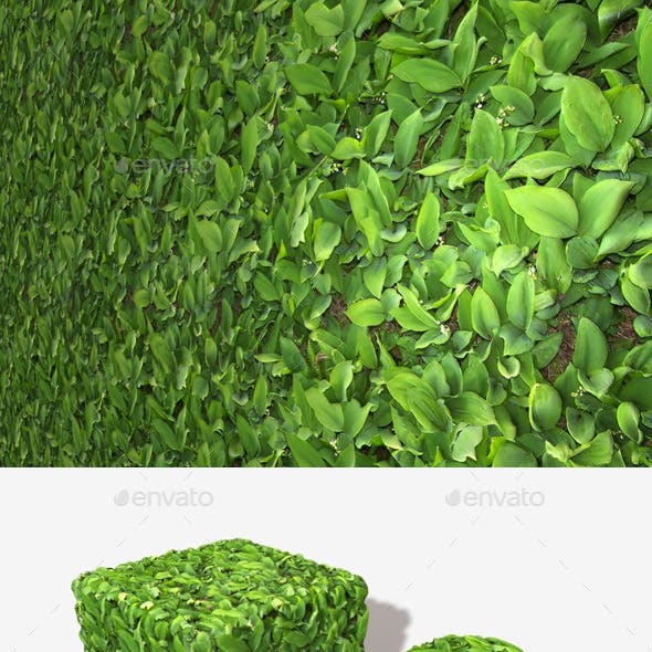 Leafy Plants Seamless Texture