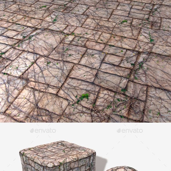 Vine Covered Stone Wall Seamless Texture