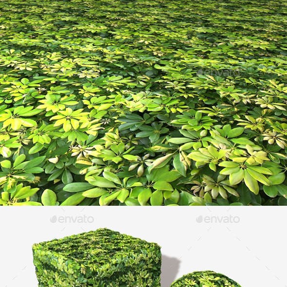 Small Jungle Leaves Seamless Texture