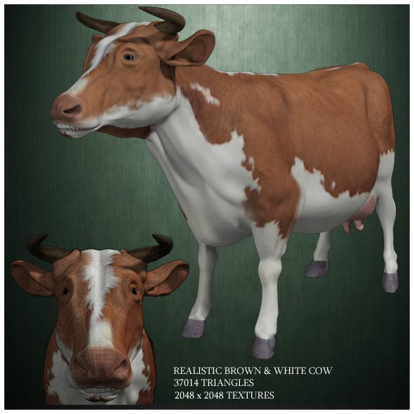 Realistic Brown And White Cow  3D Model