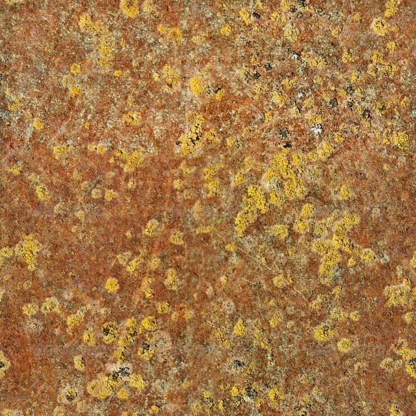 Rusty Metal With Yellow Mold